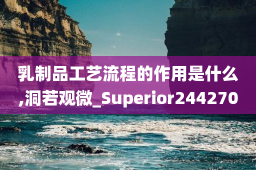 乳制品工艺流程的作用是什么,洞若观微_Superior244270