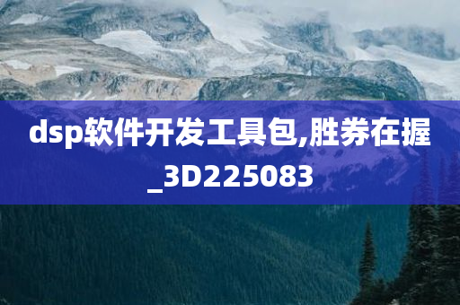 dsp软件开发工具包,胜券在握_3D225083