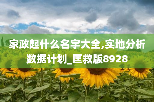 家政起什么名字大全,实地分析数据计划_匡救版8928