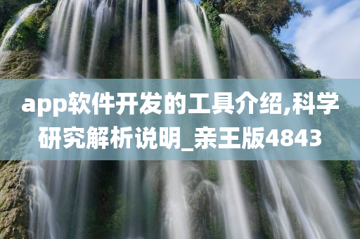 app软件开发的工具介绍,科学研究解析说明_亲王版4843