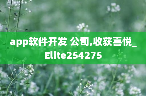 app软件开发 公司,收获喜悦_Elite254275