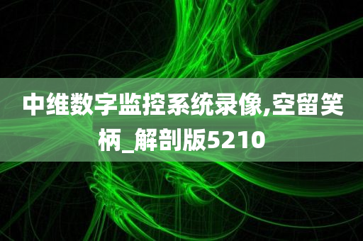 中维数字监控系统录像,空留笑柄_解剖版5210