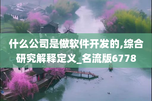 什么公司是做软件开发的,综合研究解释定义_名流版6778