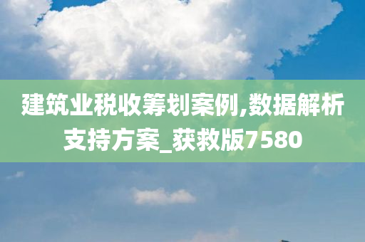 建筑业税收筹划案例,数据解析支持方案_获救版7580