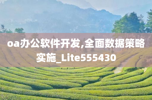 oa办公软件开发,全面数据策略实施_Lite555430