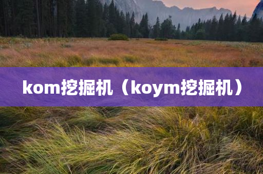 kom挖掘机（koym挖掘机）