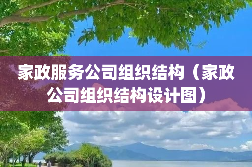 家政服务公司组织结构（家政公司组织结构设计图）