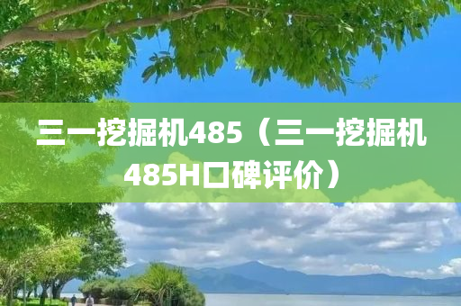 三一挖掘机485（三一挖掘机485H口碑评价）