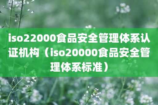 iso22000食品安全管理体系认证机构（iso20000食品安全管理体系标准）