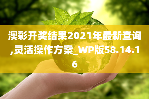 澳彩开奖结果2021年最新查询,灵活操作方案_WP版58.14.16