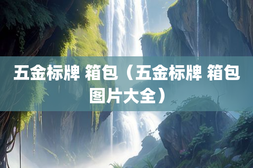 五金标牌 箱包（五金标牌 箱包图片大全）