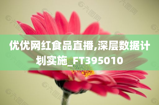 优优网红食品直播,深层数据计划实施_FT395010