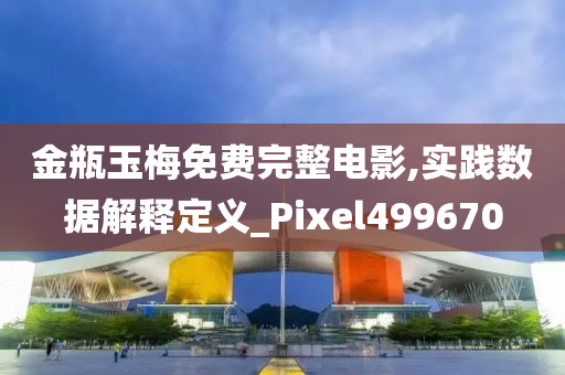 金瓶玉梅免费完整电影,实践数据解释定义_Pixel499670