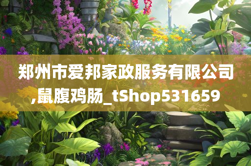 郑州市爱邦家政服务有限公司,鼠腹鸡肠_tShop531659