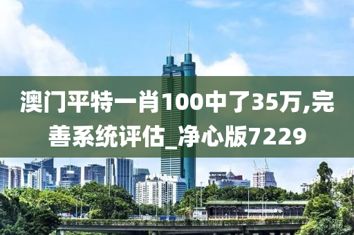 澳门平特一肖100中了35万,完善系统评估_净心版7229