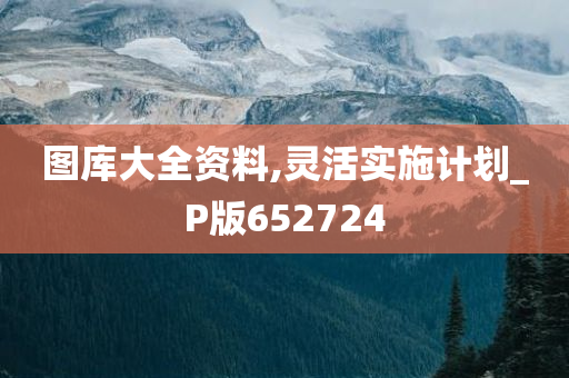 图库大全资料,灵活实施计划_P版652724