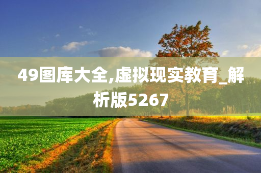 49图库大全,虚拟现实教育_解析版5267