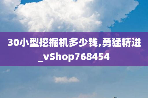 30小型挖掘机多少钱,勇猛精进_vShop768454