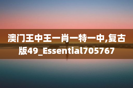 澳门王中王一肖一特一中,复古版49_Essential705767