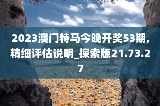 2023澳门特马今晚开奖53期,精细评估说明_探索版21.73.27