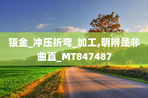 钣金_冲压折弯_加工,明辨是非曲直_MT847487