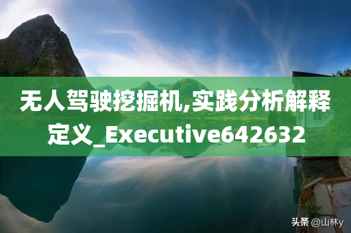 无人驾驶挖掘机,实践分析解释定义_Executive642632