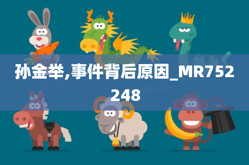 孙金举,事件背后原因_MR752248