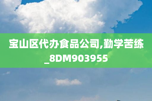 宝山区代办食品公司,勤学苦练_8DM903955