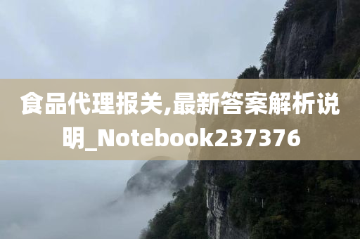 食品代理报关,最新答案解析说明_Notebook237376