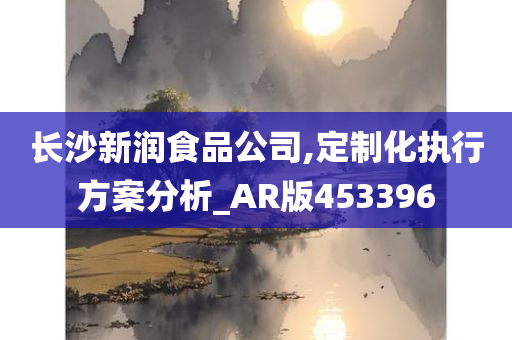 长沙新润食品公司,定制化执行方案分析_AR版453396