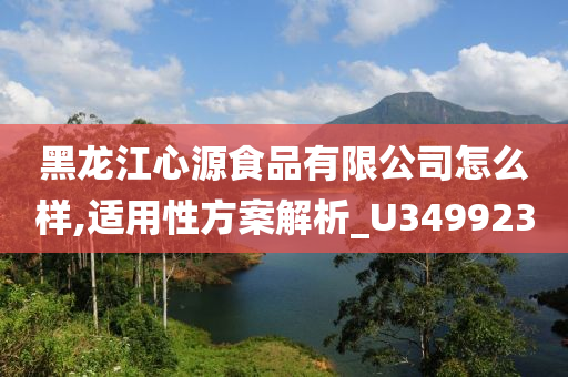 黑龙江心源食品有限公司怎么样,适用性方案解析_U349923