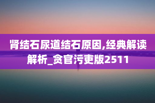 肾结石尿道结石原因,经典解读解析_贪官污吏版2511