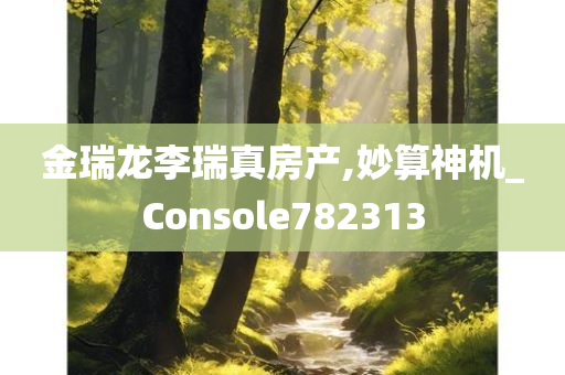 金瑞龙李瑞真房产,妙算神机_Console782313