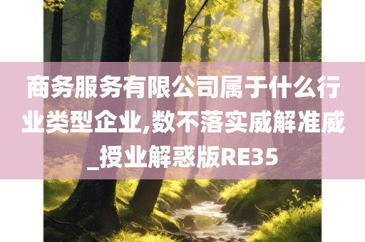 商务服务有限公司属于什么行业类型企业,数不落实威解准威_授业解惑版RE35