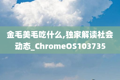 金毛美毛吃什么,独家解读社会动态_ChromeOS103735