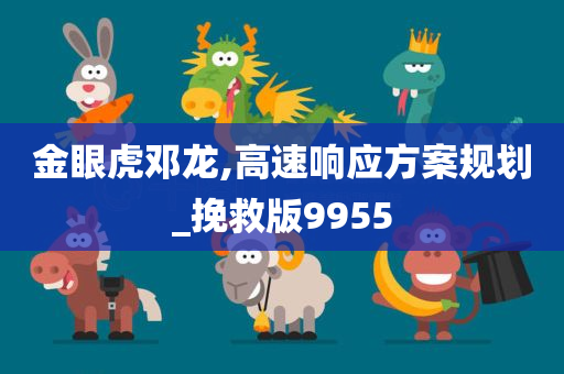 金眼虎邓龙,高速响应方案规划_挽救版9955