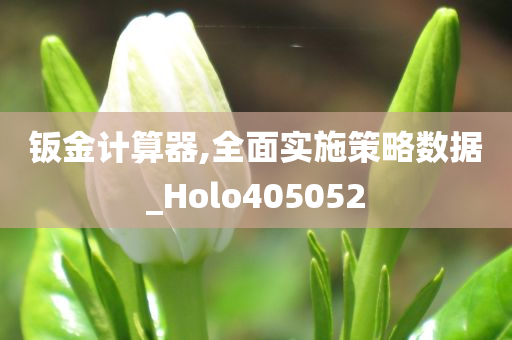 钣金计算器,全面实施策略数据_Holo405052