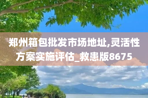 郑州箱包批发市场地址,灵活性方案实施评估_救患版8675