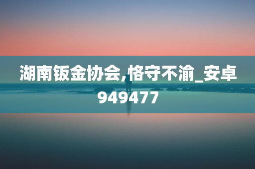 湖南钣金协会,恪守不渝_安卓949477